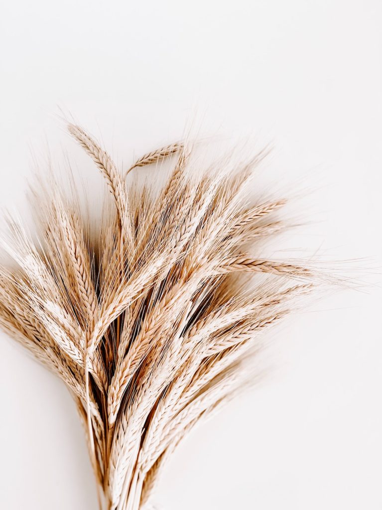 deco_grass